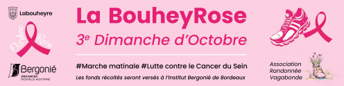 Bache Oct Rose.jpg