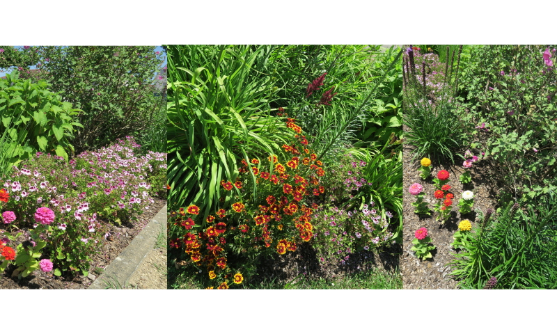 Plan canicule(10).png