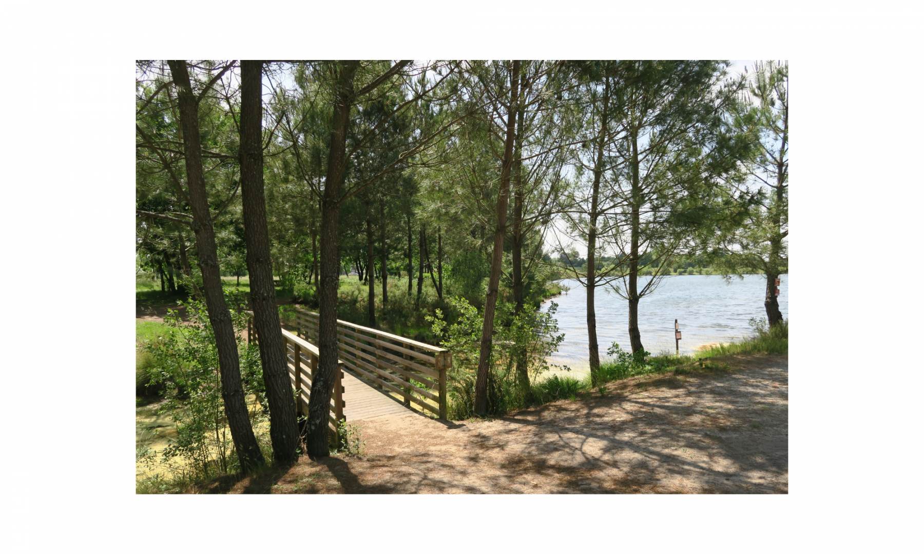 Design sans titre (32).png